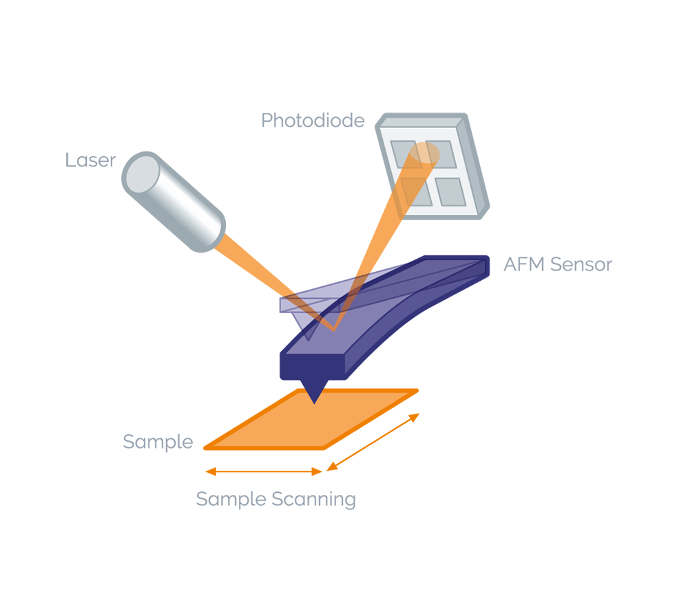 AFM Principle