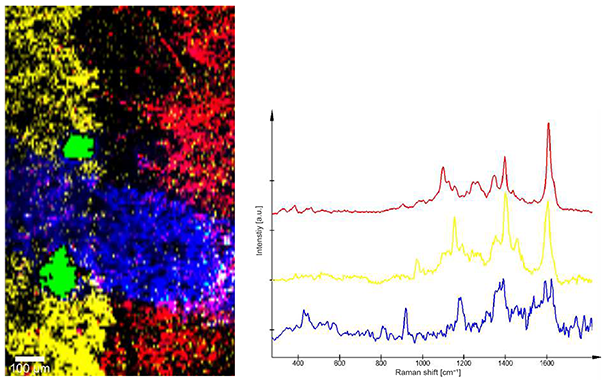 Raman image and spectra of printer and ballpoint pen ink on paper
