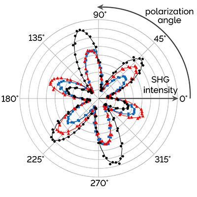 MoS2-SHGpolarization