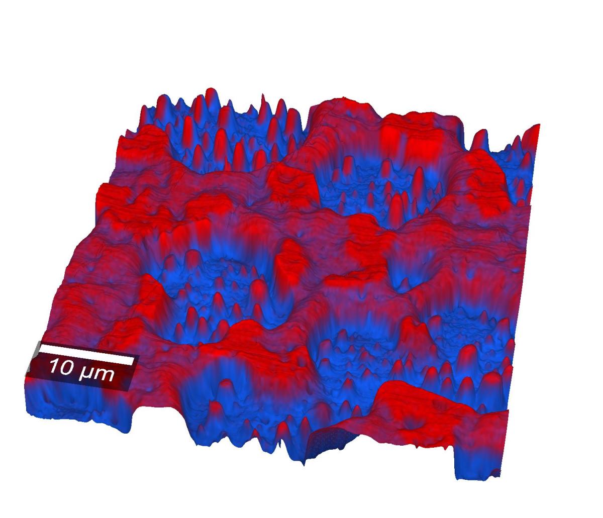 Correltaive Raman-AFM Image of a Polymer Blend