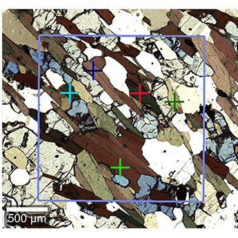 Biotite in parallel polarized white light transmission