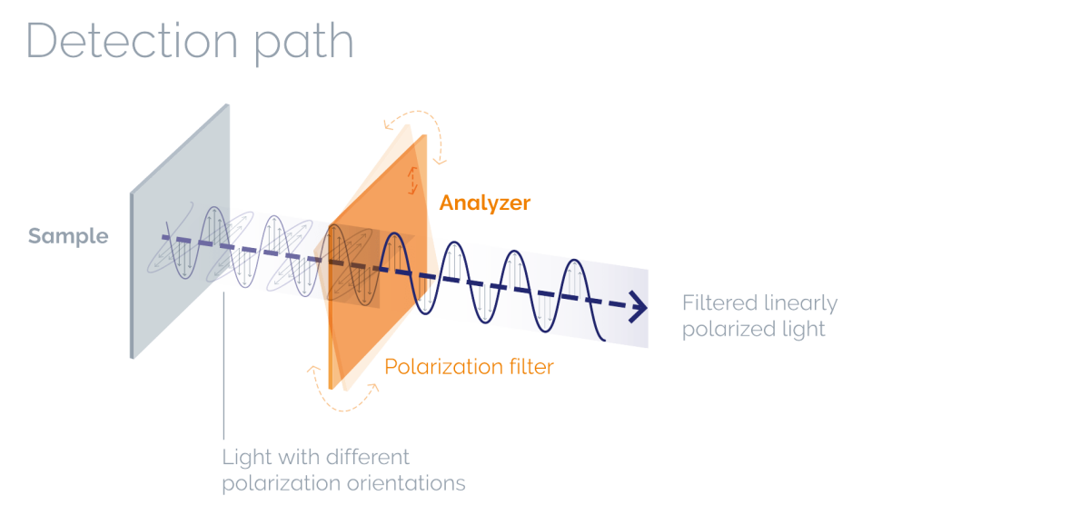 Detection path with analyzer