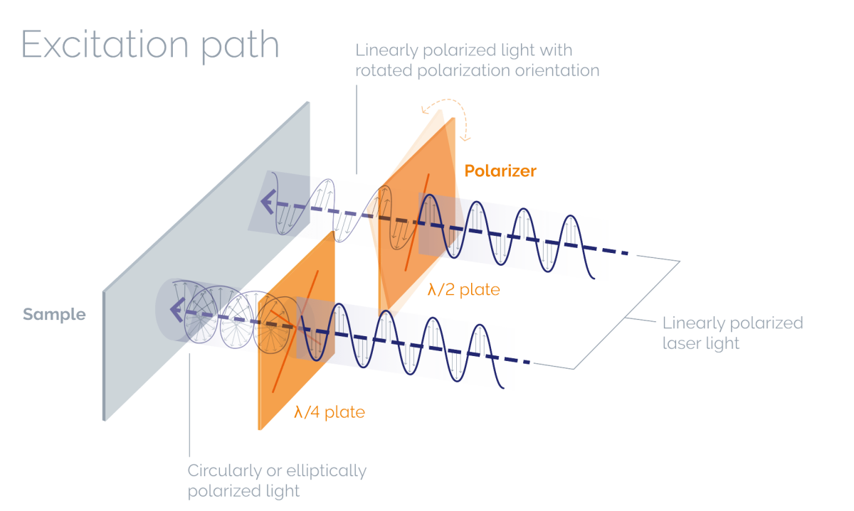 Excitation path with polarizer