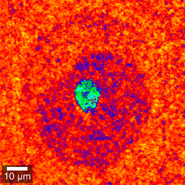 Stress and Strain fields in GaN