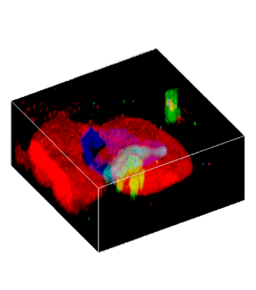 Raman 3DRaman FluidInclusion Raman 3DRaman FluidInclusion