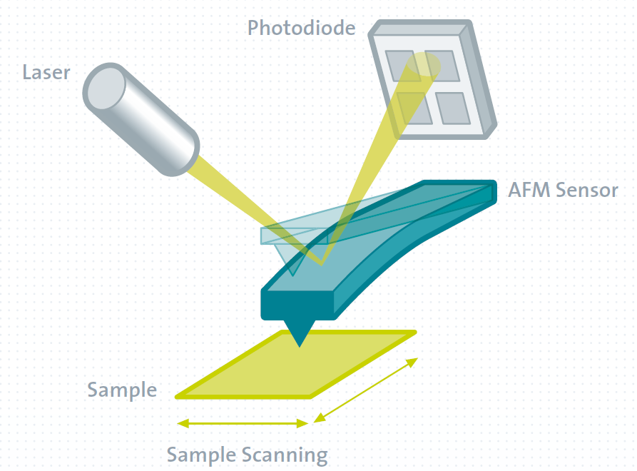 Atomic Force Microscopy (AFM) - WITec Raman Imaging - Oxford Instruments