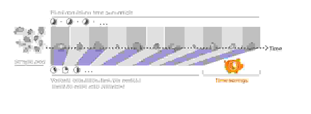 WITec ParticleScout time saving