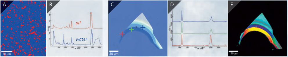 WITec alpha300 access application example