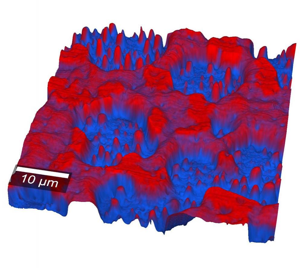 Overlay of AFM topography and Raman image of a PS-PMMA polymer blend
