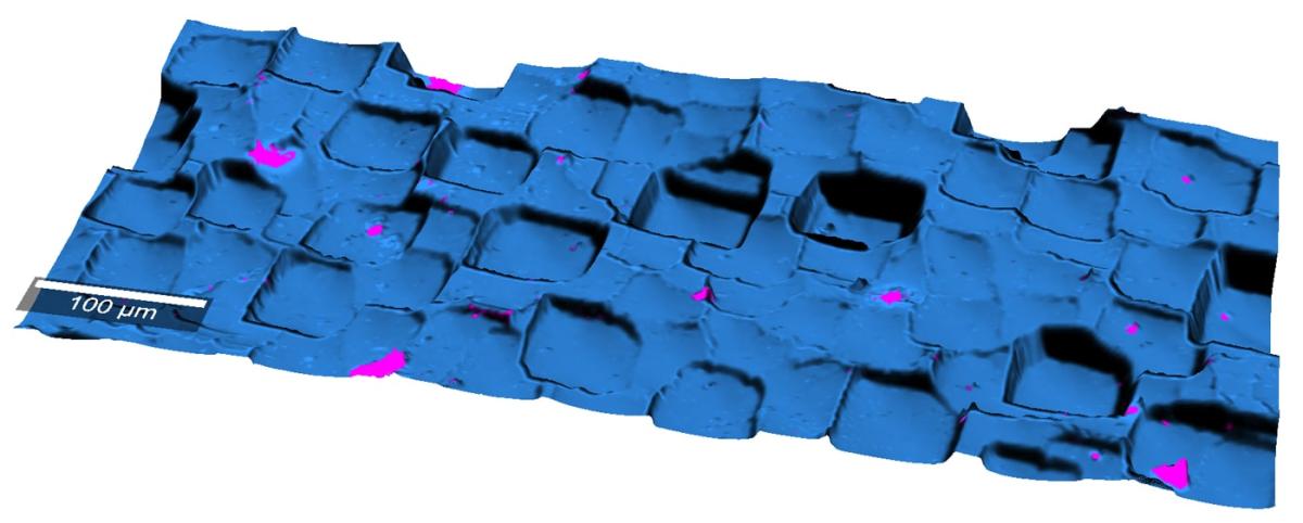 Topographic Raman Image of Silicon