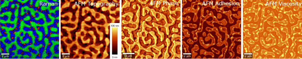 Raman-AFM of Polymers