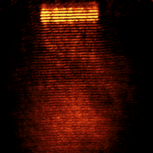 SNOM surface plasmon