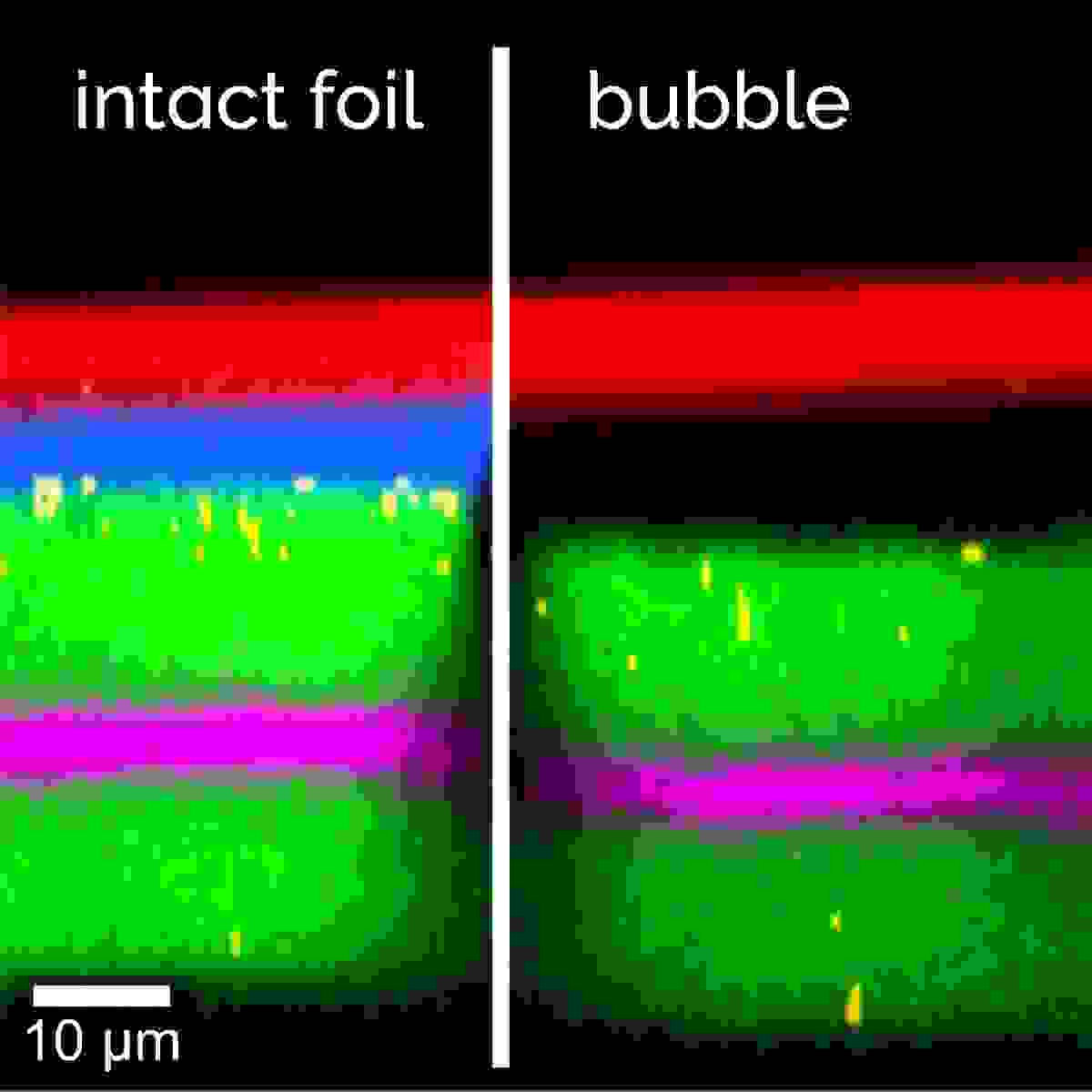 Material Defect in Plastic Foil