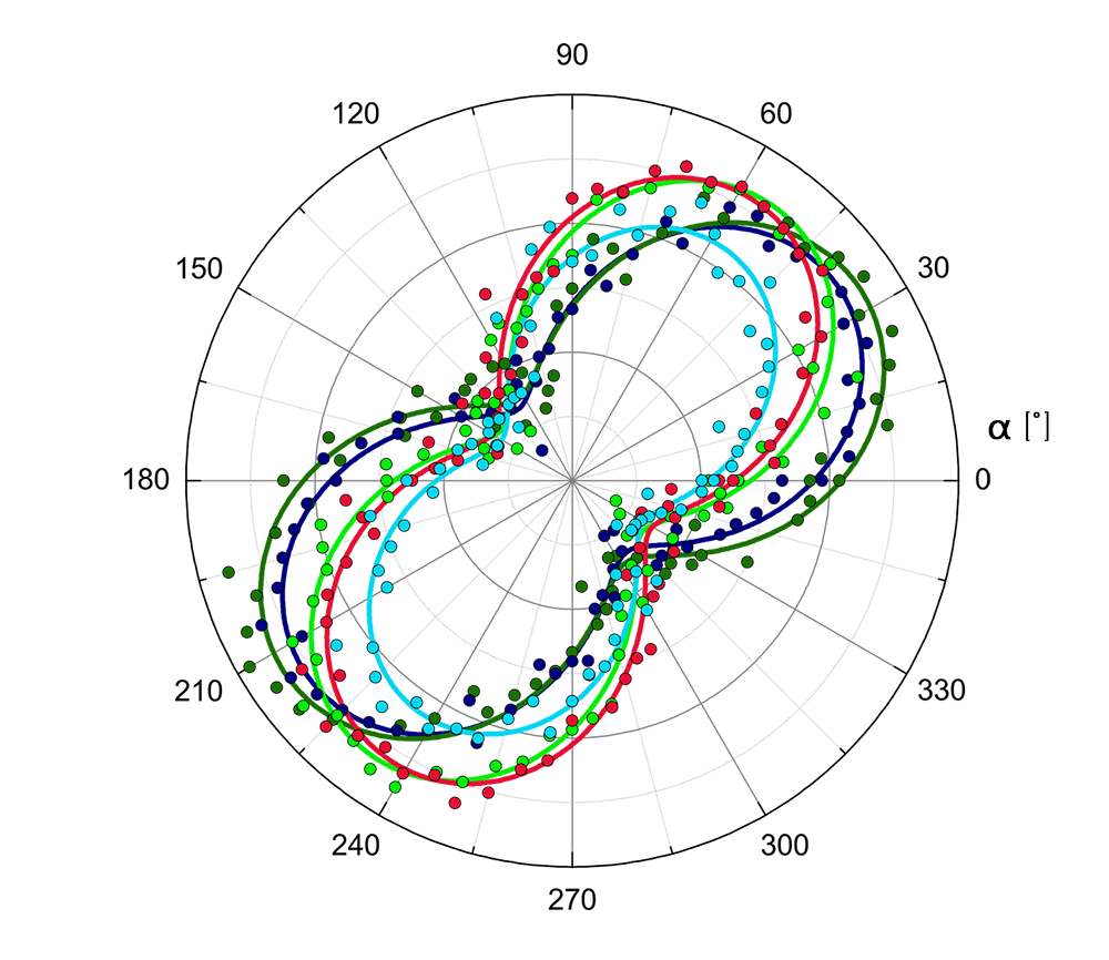 Polarization-resolved Raman mode in biotite