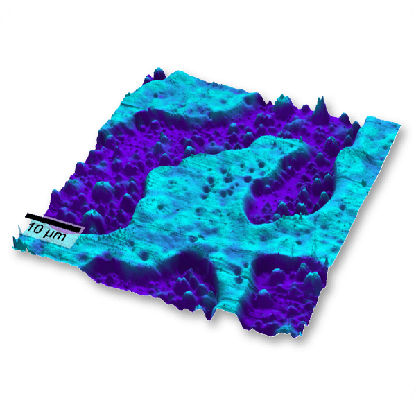 <p>AFM</p>