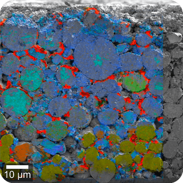 <p>SEM</p>