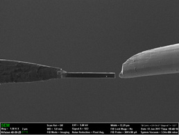 Fig. 3 - The lifted out lamella after attachment to a TEM half-grid. The selected defect appears as a white spot on the visible face of the lamella.
