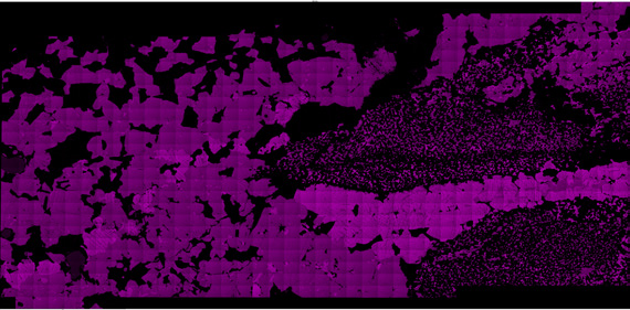 Fig 6a. BSE imaging of geological sample