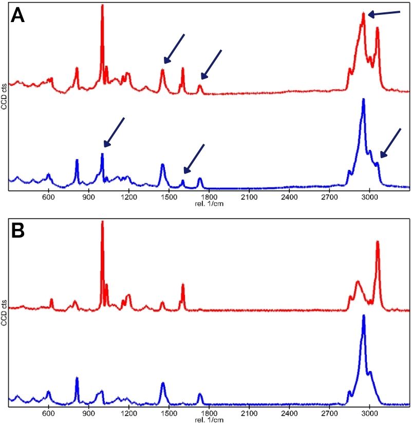 Example of polymer Raman spectra demixing